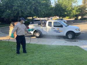 A Crazy Ant Pest Control technician spraying a sidewalk and lawn area next to a branded truck in Fresno, CA.