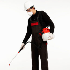 A pest control technician in protective gear spraying, performing services for Star Pest Control in Idaho Falls, ID.