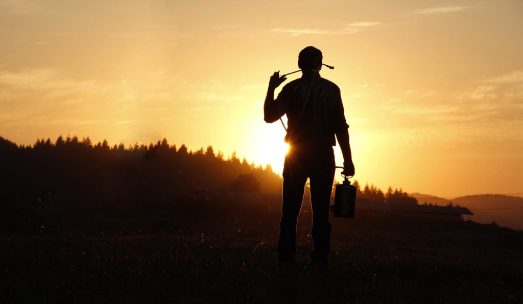 A pest control technician spraying in a field at sunset for Oregon Pest Control in Eugene, OR