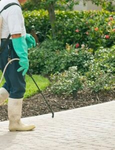 A pest control technician spraying treatment on a sidewalk and garden area for First Solutions Pest & Home Services in Derwood, MD