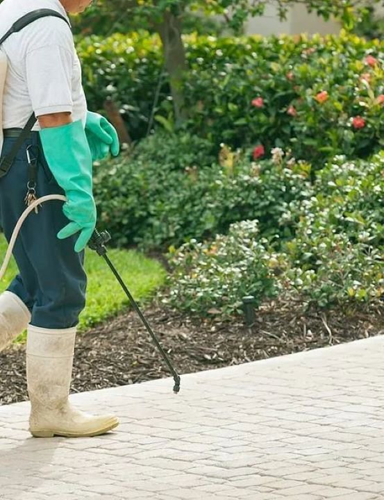 A pest control technician spraying treatment on a sidewalk and garden area for First Solutions Pest & Home Services in Derwood, MD