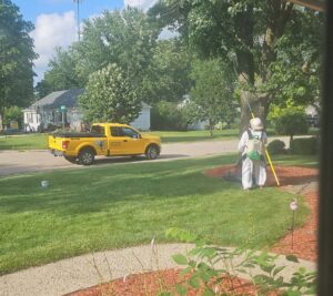 A pest control technician in a protective suit spraying the base of a tree in a residential yard for Leave Me Bee Pest Control, Inc. in Aurora, IL.