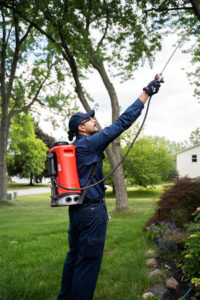 A Fox Pest Control technician spraying trees and bushes for pest control in Glen Ellyn, IL