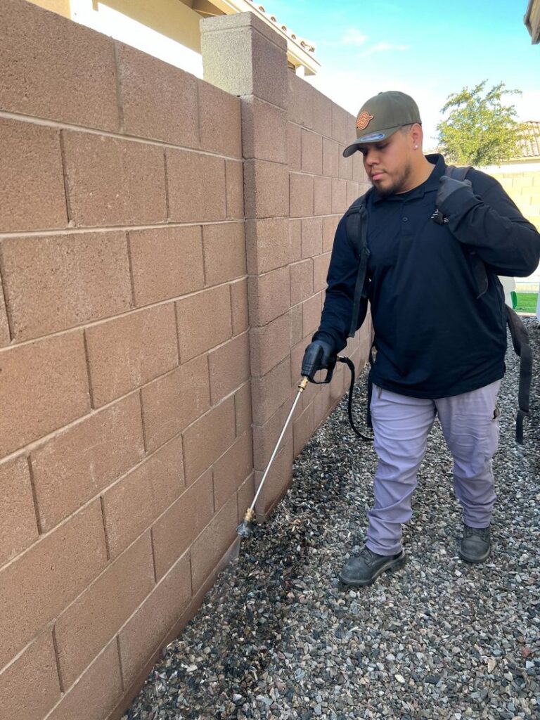 A CAPE Pest Control technician spraying along a brick wall for pest treatment in Mesa, AZ