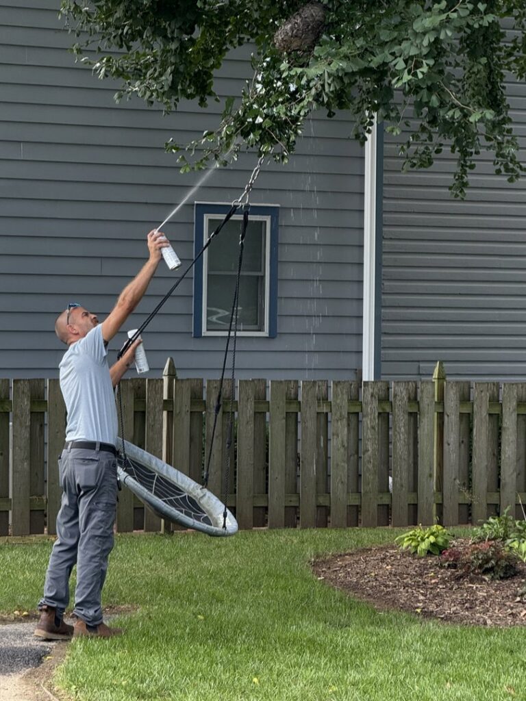 A Pest Authority technician spraying a wasp nest in a tree, performing pest control services in Dover, DE.