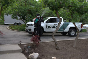 A Hawx Pest Control technician spraying a yard near a company truck for pest treatment in San Antonio, TX.
