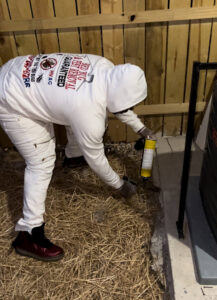 A pest control technician in protective gear applying treatment near an exterior wall, performing a pest removal job for Bed Bug and Pest Removal LLC in Baltimore, MD.