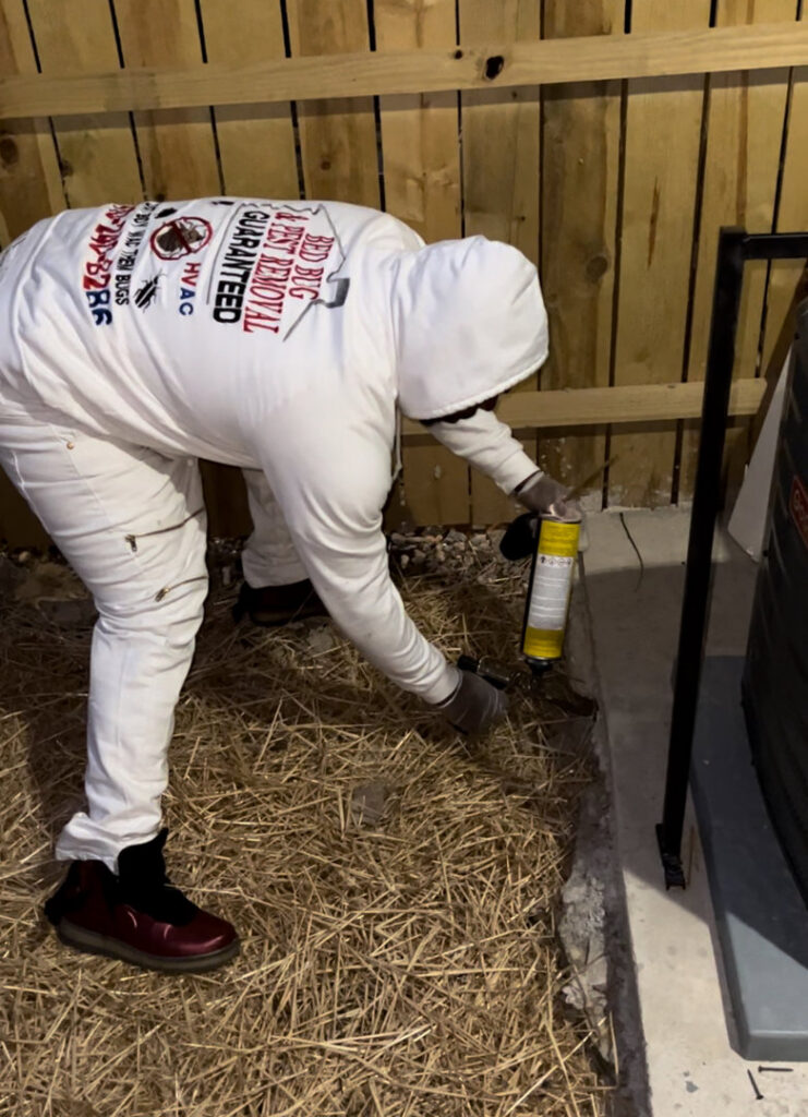 A pest control technician in protective gear applying treatment near an exterior wall, performing a pest removal job for Bed Bug and Pest Removal LLC in Baltimore, MD.