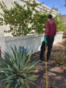 A pest control technician in gloves treating the exterior of a property for House Doctor Exterminating in Glendale, AZ.
