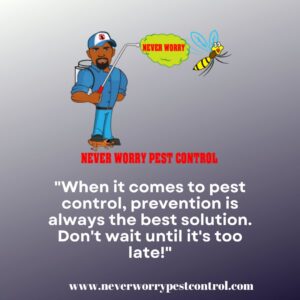 A Never Worry Pest Control technician treating the exterior of a residential home in Broadview, IL.