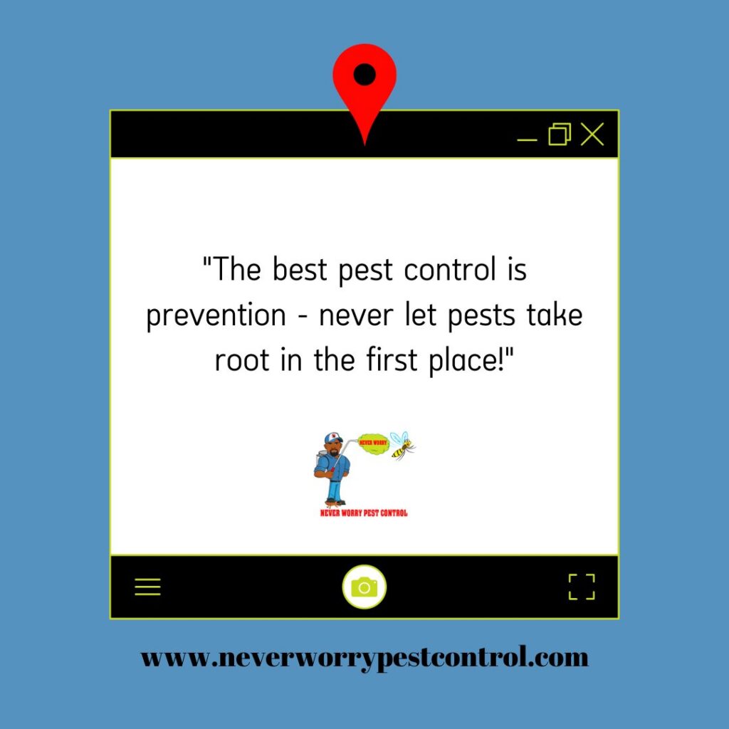 A Never Worry Pest Control technician treating the perimeter of a home in Broadview, IL.