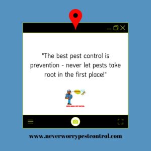 A Never Worry Pest Control technician treating the perimeter of a home in Broadview, IL.