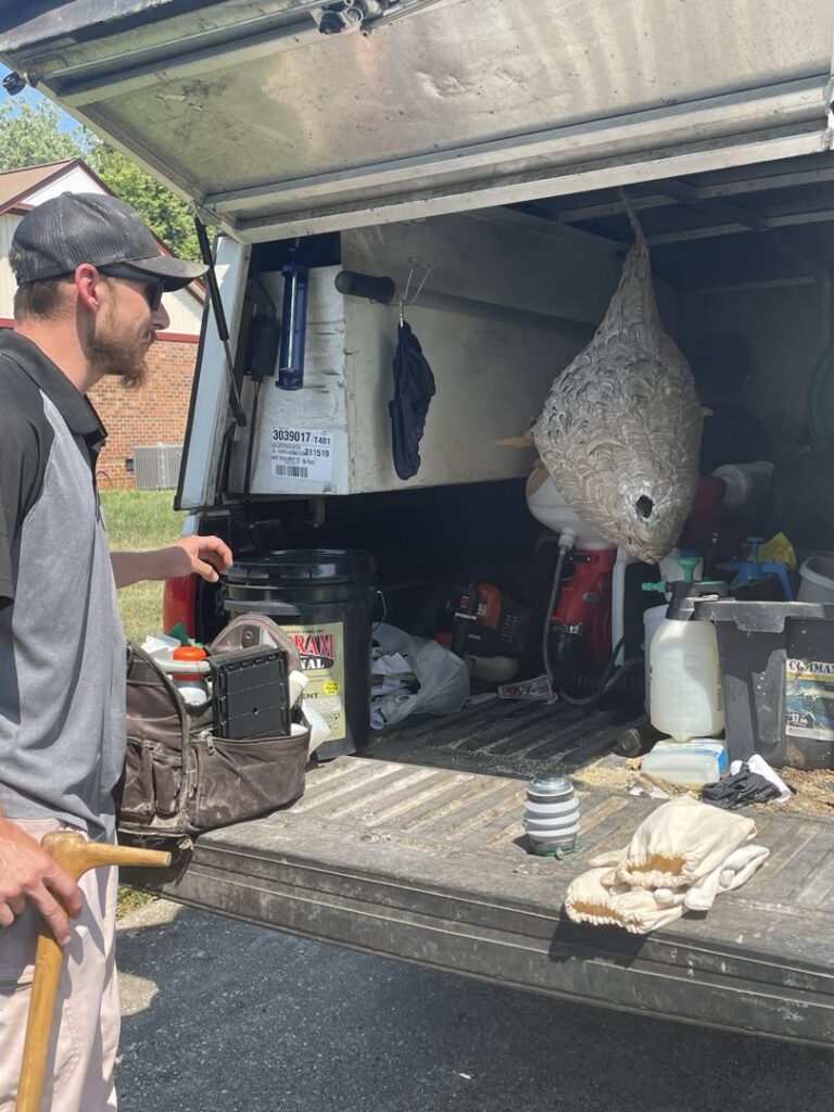 A Bulwark Exterminating technician with pest control equipment and a large removed nest in their truck in Greensboro, NC.