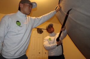 Two Sleep Tight Pest Control technicians inspecting a mattress or furniture for pests in Kansas City, KS.