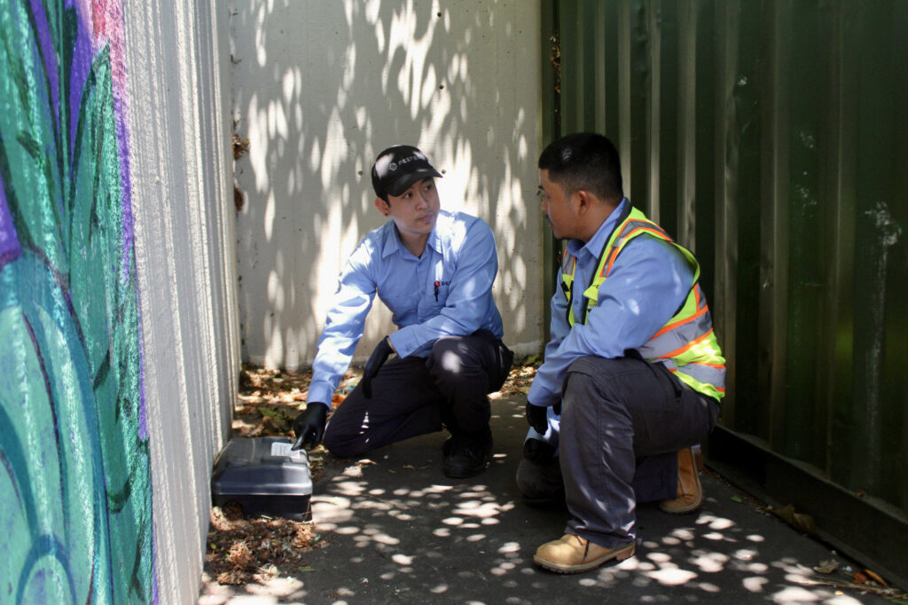 Two Pestec technicians inspecting a pest trap or bait station next to a wall in San Francisco, CA.