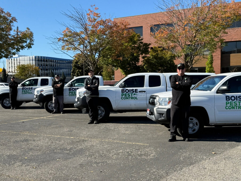 Pest Control Service Boise technicians standing with their branded trucks in Boise, ID, ready for wildlife and pest control jobs.