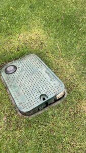 A green pest control trap cover installed in the grass by Dan's Pest Management in Bakersfield, CA