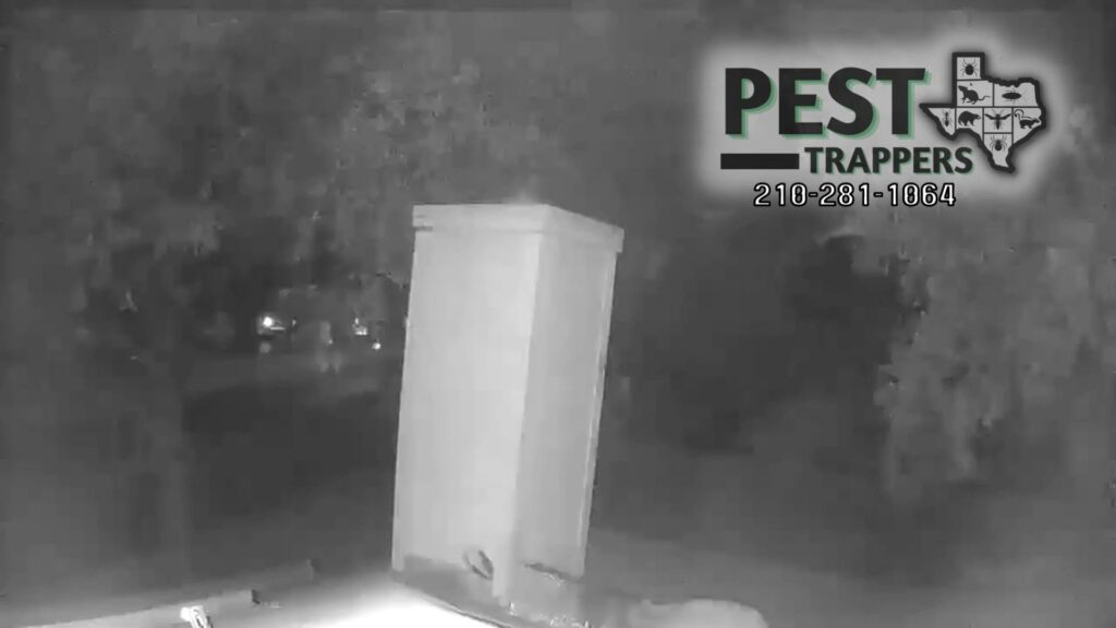 A pest control trap or bait station set up near a building at night by Pest Trappers in San Antonio, TX.