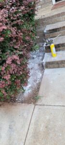 Pest control treatment with white powder and spray foam applied near bushes and steps by Absolute Exterminating Services in Ellenwood, GA.