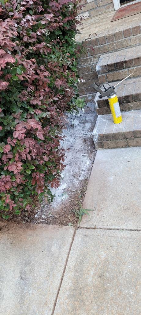 Pest control treatment with white powder and spray foam applied near bushes and steps by Absolute Exterminating Services in Ellenwood, GA.