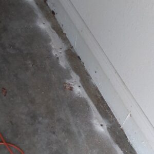 Drilled holes in a concrete floor for pest control treatment by The Bug Guy in Springfield, MO.