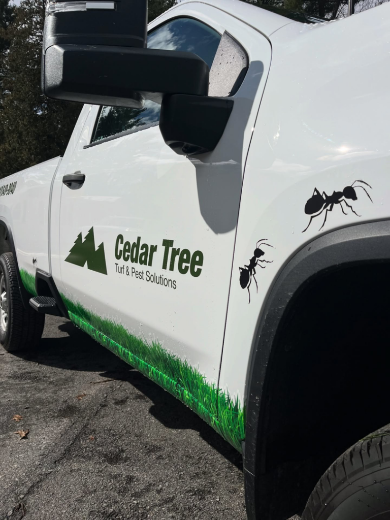 A Cedar Tree Turf & Pest Solutions truck with ant decals, representing pest control services in Albany, NY.