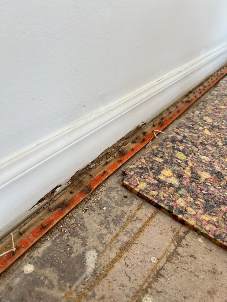 Close-up of exposed subfloor and tack strip, indicating a pest damage or treatment area by CAPE Pest Control in Mesa, AZ