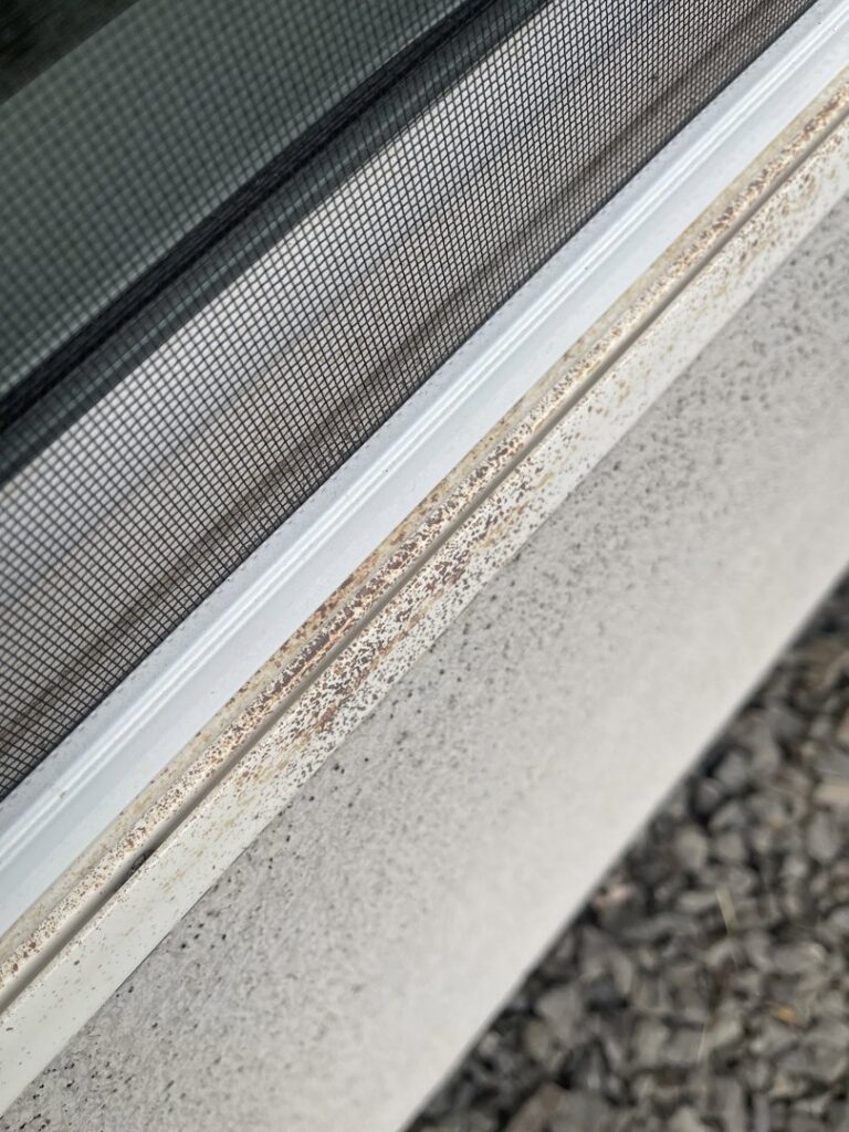 Close-up of pest debris accumulated on the upper window frame, indicating a need for Pestcom Pest Management services in Nampa, ID