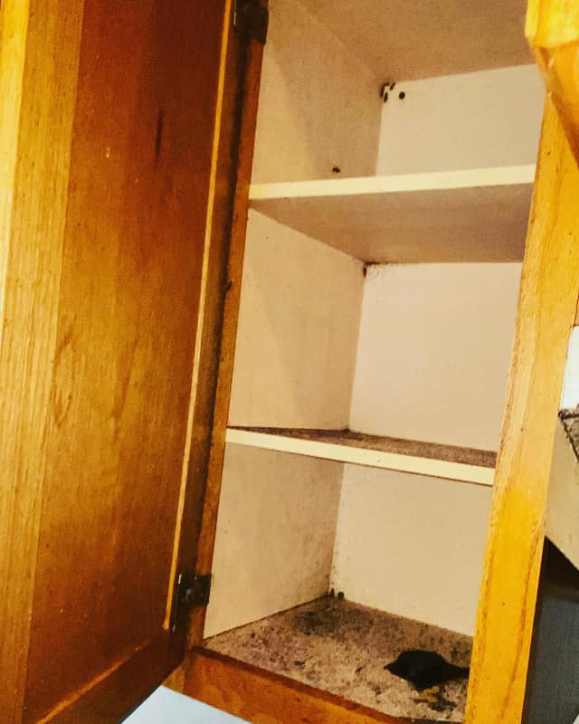 Evidence of pest droppings found inside a kitchen cabinet by AAA Pest Control in El Paso, TX