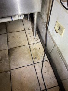 Evidence of pest droppings under a commercial sink, showing a common issue addressed by Illuminating Pest Control in Johns Creek, GA.