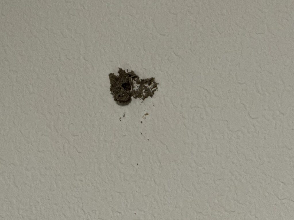 A small hole in a wall with surrounding debris, possibly an entry point for rodents or insects, addressed by Next Level Pest Services in Fort Worth, TX.
