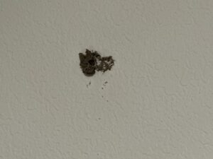 A small hole in a wall with surrounding debris, possibly an entry point for rodents or insects, addressed by Next Level Pest Services in Fort Worth, TX.
