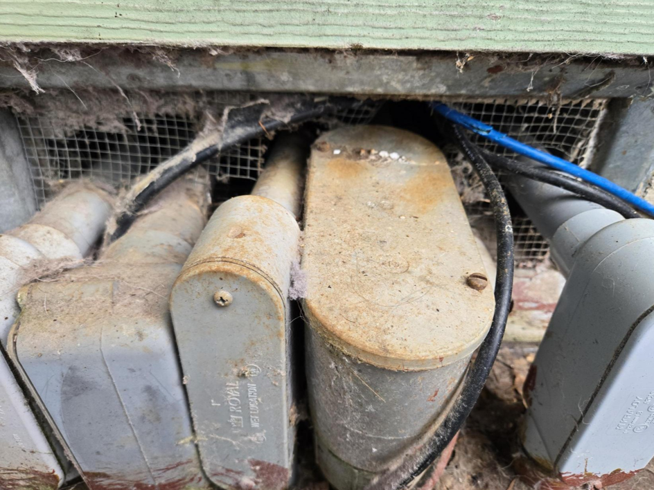 A close-up of a building's exterior foundation showing a potential pest entry point during an inspection by Good Earth Pest Company in Corvallis, OR.
