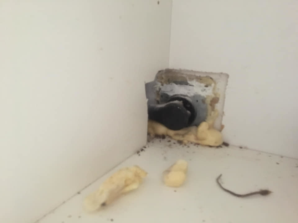 A pest entry point with rodent droppings and foam in a corner, showing pest control work by Jabs Blastem Termite & Pest Control in Albuquerque, NM.