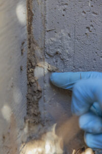 A gloved hand inspecting pest evidence on a building's foundation, performed by Berner Pest Solutions in Lexington, KY.