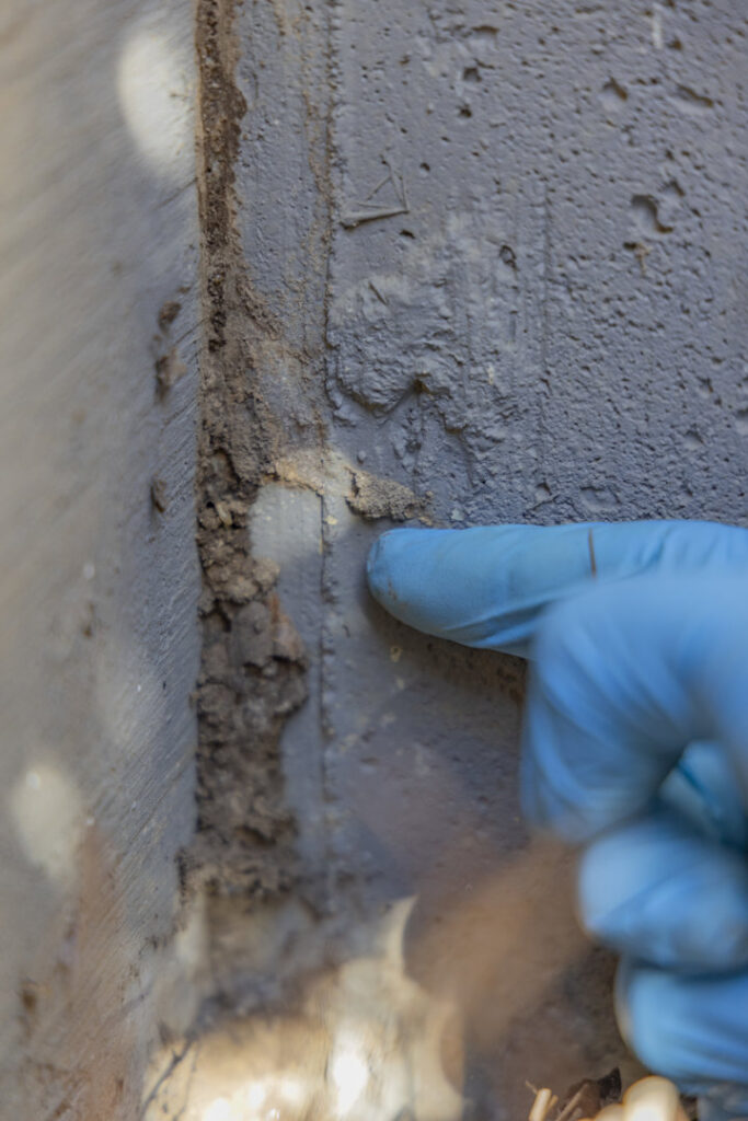 A gloved hand inspecting pest evidence on a building's foundation, performed by Berner Pest Solutions in Lexington, KY.