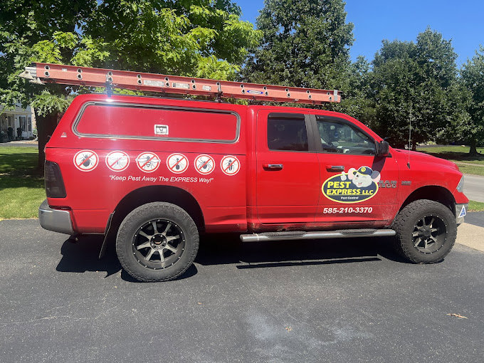 The branded work truck of Pest Express LLC, equipped with a ladder, ready for pest control jobs in Rochester, NY