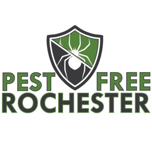Pest Free Rochester