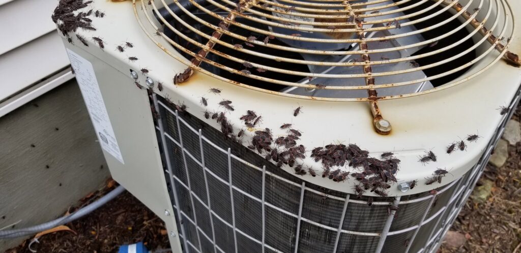 A severe pest infestation of small dark insects covering an outdoor air conditioning unit, indicating a need for Spectrum Pest Control Eco-Tech LLC in Kenosha, WI.