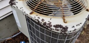 A severe pest infestation of small dark insects covering an outdoor air conditioning unit, indicating a need for Spectrum Pest Control Eco-Tech LLC in Kenosha, WI.
