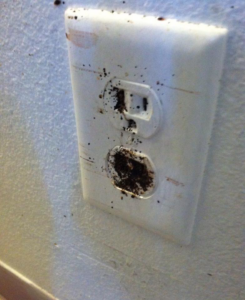An electrical outlet showing signs of a pest infestation, indicating a need for Bugstoppers Pest Control services in Elizabeth, NJ.