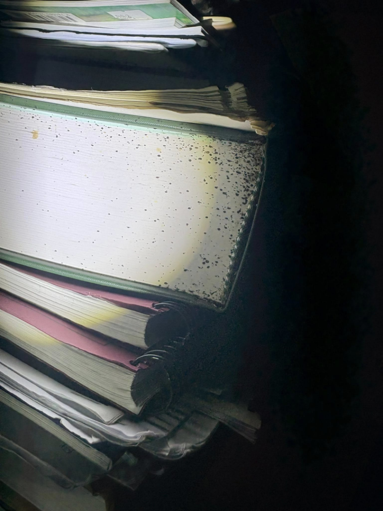 Evidence of a pest infestation, possibly rodent droppings, found by Complete Termite & Pest Control in Mason, OH.