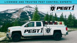 A Pest One pest control truck with mountains in the background, serving clients in Bozeman, MT.