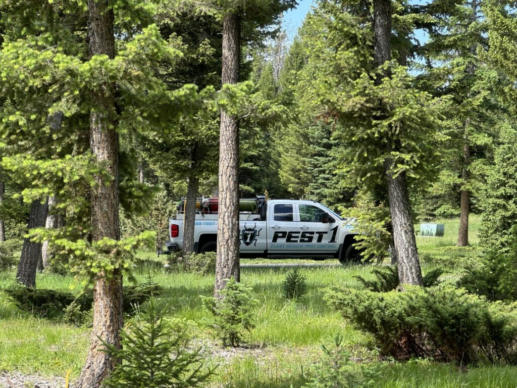 A Pest One service truck parked in a wooded area, ready for wildlife and pest control services in Bozeman, MT.