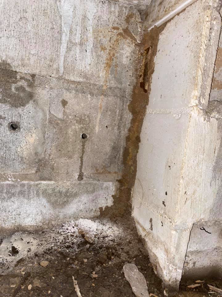 Evidence of pest trails and damage on a concrete wall, indicating a past or current pest issue addressed by Anchor Pest Management in Charleston, SC.