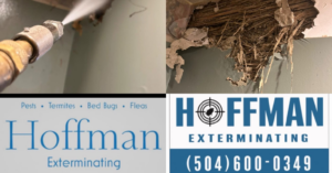 A collage showing pest treatment spray and severe termite damage addressed by Hoffman Exterminating in Belle Chasse, LA