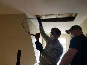 Technicians from Cedar Tree Turf & Pest Solutions performing a pest and wildlife inspection in an attic or ceiling in Albany, NY.