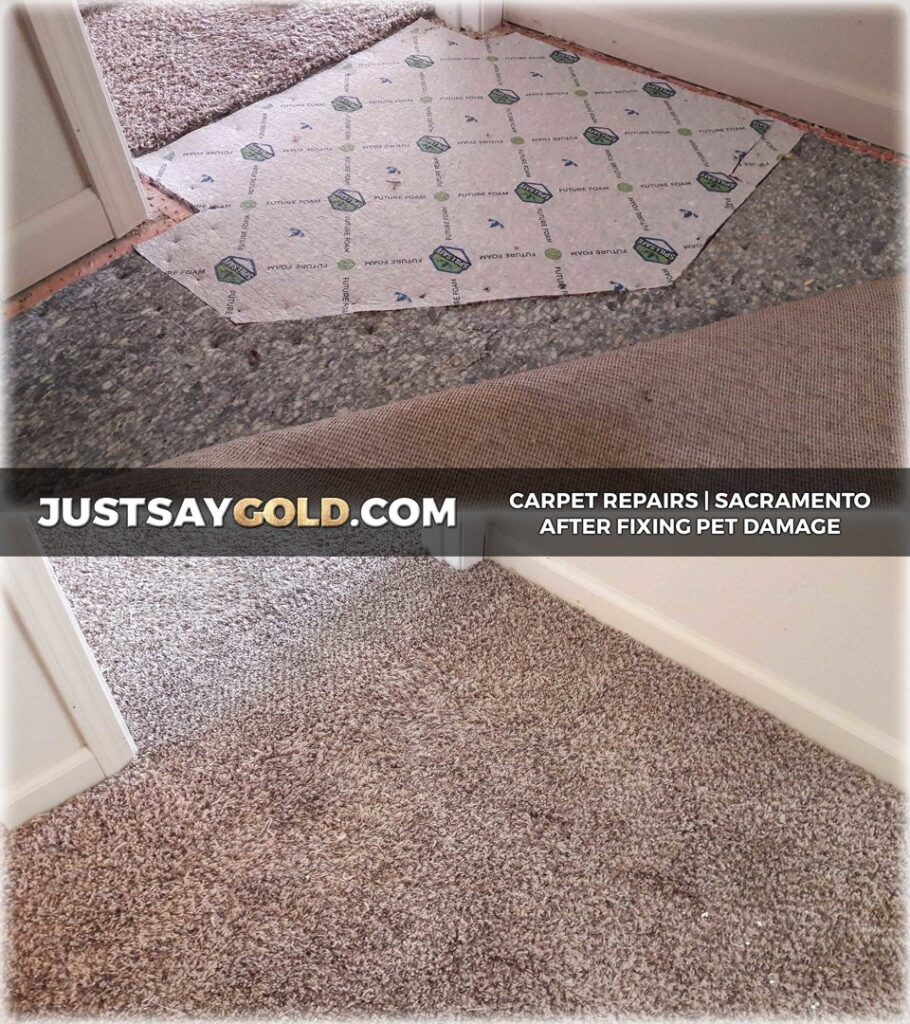 Before and after of pet damage carpet repair, showing new underlayment, by GoldCoast Carpet & Tile Care in Sacramento, CA.