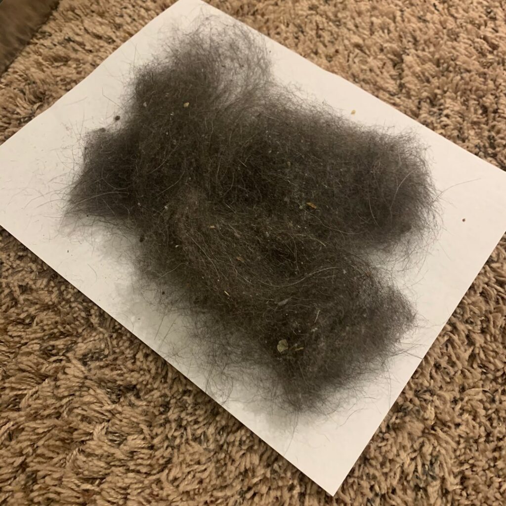 A pile of pet hair and debris collected from a carpet, showcasing the deep cleaning results by Columbia Carpet Cleaning in Columbia, MO.