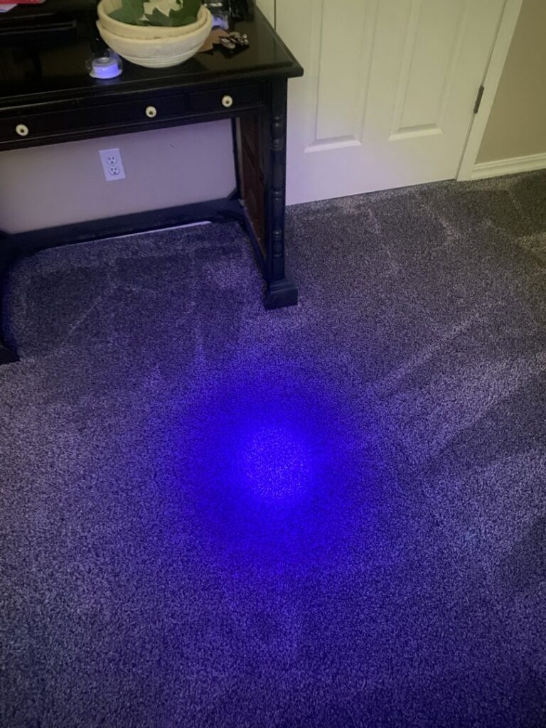 A blue light illuminating a dark carpet to detect hidden pet stains or problem areas, a service offered by B of C Carpet Cleaning LLC in Idaho Falls, ID.